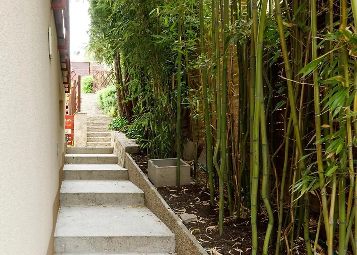 Sunnyside Apartament